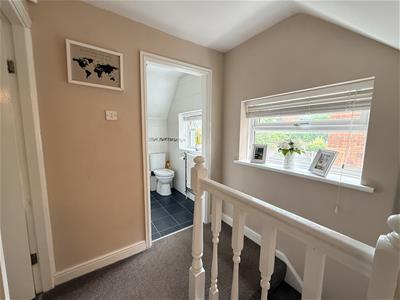 Picture 17